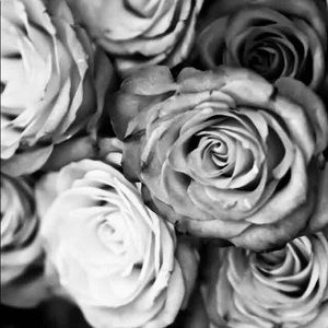 Meet your Posher, Adela